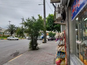 سوپرمارکت درخشان 2