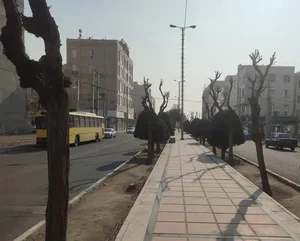 ساختمان پروما