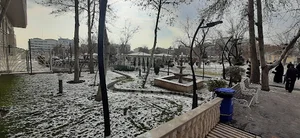 بوستان هویزه