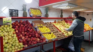 بازار میوه و تره بار قلمستان