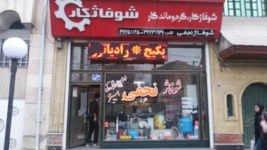 نمایندگی رادیاتور پانلی گلدترم شوفاژ نجفی