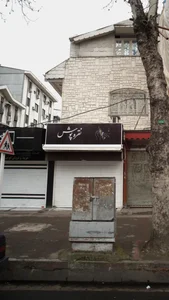 نقره پوش 2