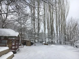 مدرسه طبیعت داربانان آتی