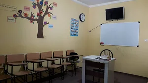 Novin Language institute