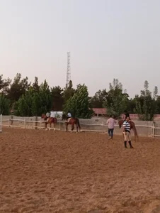 باشگاه سوارکاری سمند 5