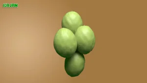 مشاور سلامت طب سنتی خانم امینی 5