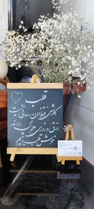 بیمه تعاون نمایندگی میثم حسنی 4