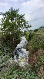 دهانه رودخانه سفیدرود