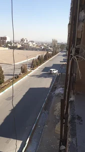 پلاسکو کادویی النا