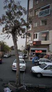 فرزانه حسینی نصب 2