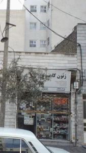 زئون کامپیوتر 3