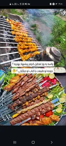 جیگر مولا ۱۱۰ 5