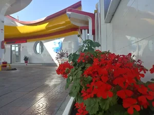 جایگاه اختصاصی رزت 3