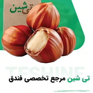 تی شین| فروشگاه آجیل و خشکبار