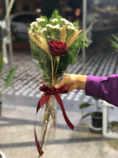 استودیو‌ گل ریحانه خالق