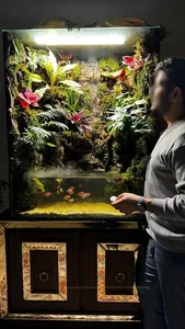 شرکت طبیعت مدرن 2