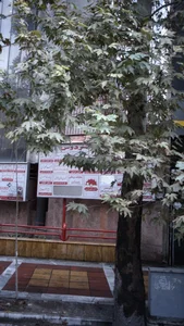 انستیتو روانکاوی تهران