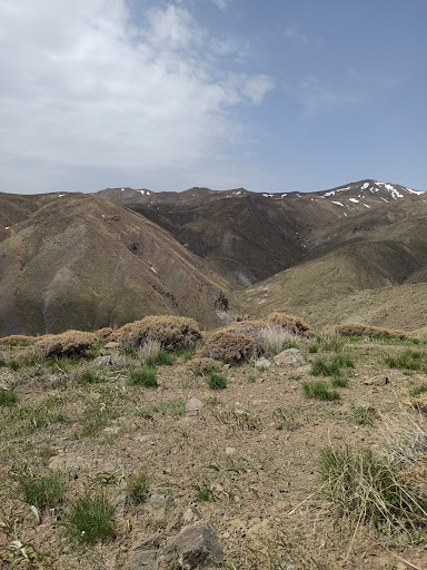 سراب