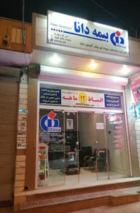 بیمه دانا