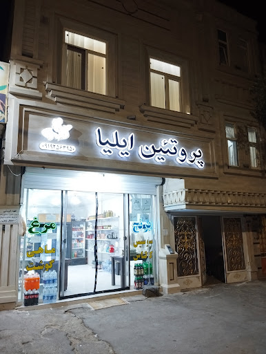 پروتئین ایلیا