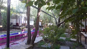 VIP Arsha