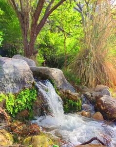 روستای حاجی اباد
