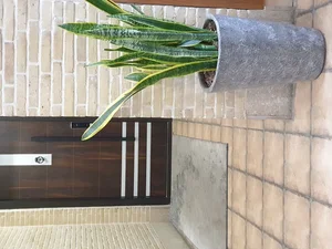هتل عمارت هفت دری 3