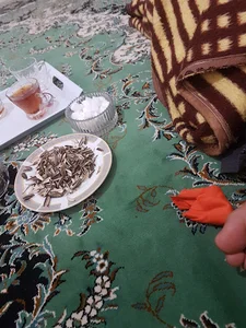 فروشگاه نوری