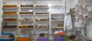 عسل رویال هشترود