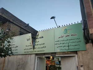 پیک گل آنلاین 2