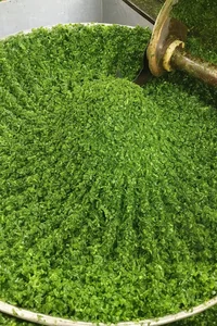 سبزی مارکت کدبانو