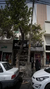 سفید و سیاه