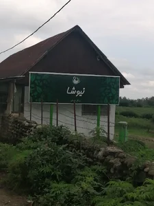 شرکت بین المللی نیوشا