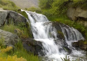 بیمه ایران نمایندگی مهندس ورسه