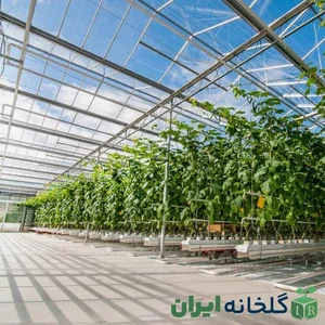 طبیعت گستر سبز یزد
