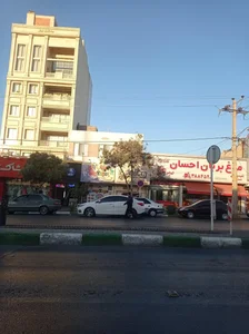 مرغ بریان احسان 5