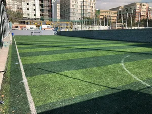 ورزشگاه غروی