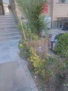 اداره تامین اجتماعی شعبه یک اصفهان