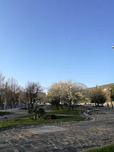 بوستان نرگس