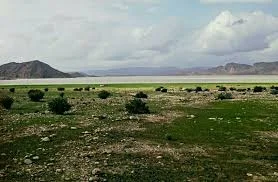 شهرپیر - ویکی‌پدیا، دانشنامهٔ آزاد