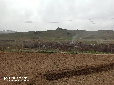 سبزیکاری محمود ناصری