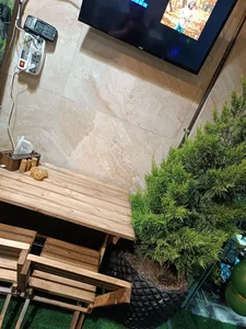 فست فود وودی 4