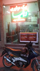 پیک موتوری ایلیا ۳۱۳