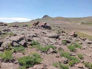 گردشگری عمومی