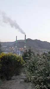 سرچشمه