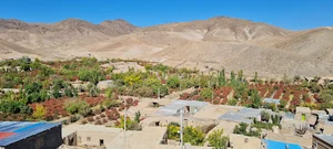 بیمه آسیا