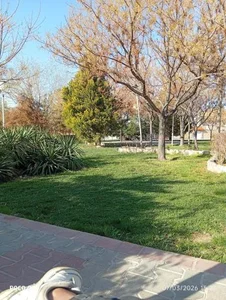بوستان کویر 3