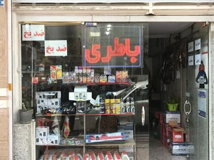 دنیای باتری وحید