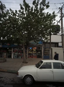 پیچ و مهره پارس 2