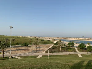 Dareen Park